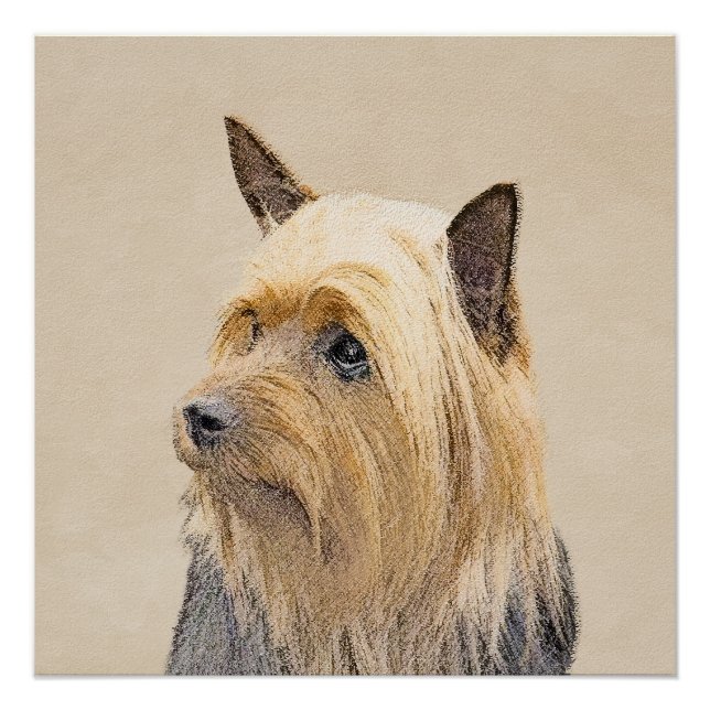 Poster Peinture Silky Terrier - Cute Original Chien Art (Devant)
