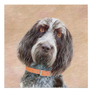 Poster Peinture Spinone Italiano - Belle Art Original Chi