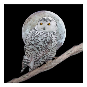 Poster Peinture sur la Chouette neigeuse et la Lune - Art