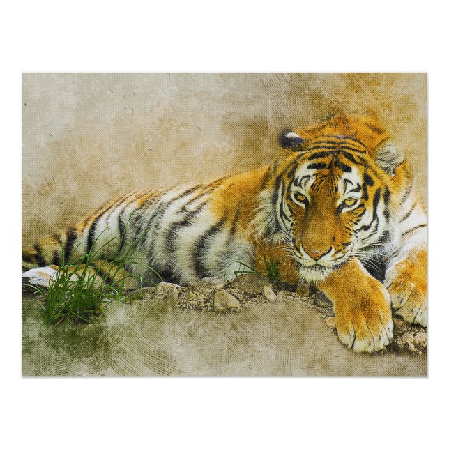 Poster Peinture sur tigre (Devant)