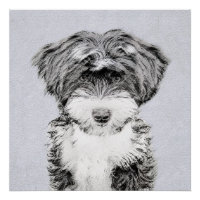 Peinture Tibétaine Terrier - Cute Original Chien A