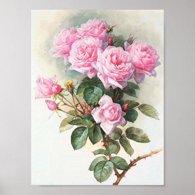 Poster Peinture vintage rose Roses (Devant)