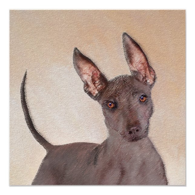 Poster Peinture Xoloitzcuintli - Cute Original Chien Art (Devant)