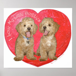 Poster Pekingese / Poodle Mix Valentine's Day