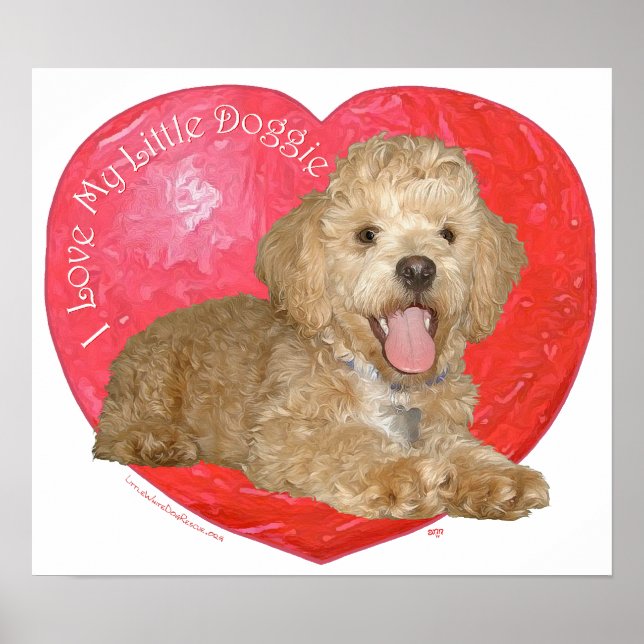 Poster Pékinois / Croisement Caniche Saint-Valentin (Devant)