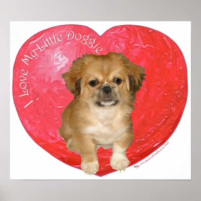 Poster Pékinois / Shih Tzu Saint-Valentin (Devant)