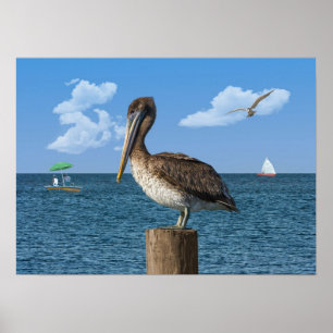 Poster Pélican sur une copie ou une colle de courrier