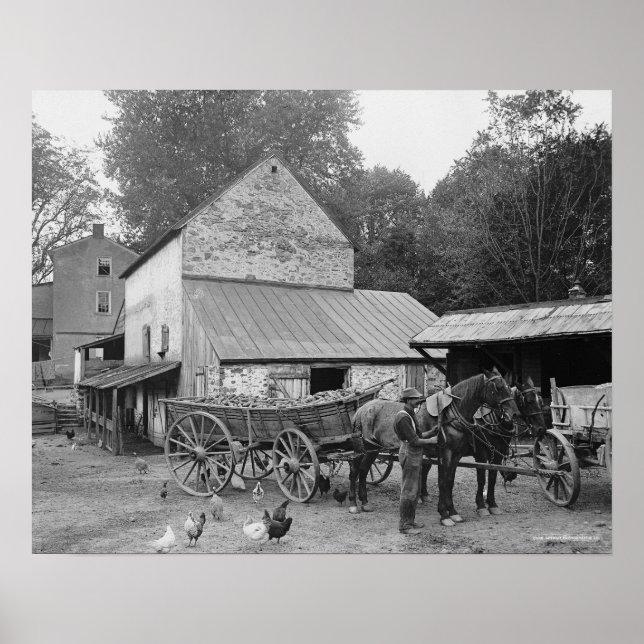 Poster Pennsylvania Farm, 1906. Photo vintage (Devant)