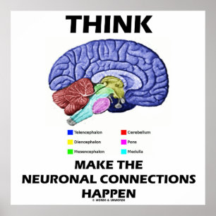 Poster Pensez Que Les Connexions Neuronelles Se Produisen