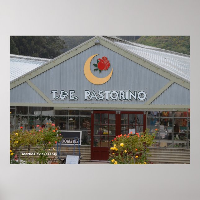 Poster Pépinière aux fleurs (Devant)