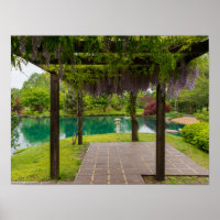 Pergola de glycine