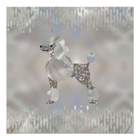 Perle de luxe et caniche d'Abalone