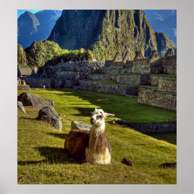 Poster Pérou, Andes, Montagnes des Andes, Machu Picchu (Devant)