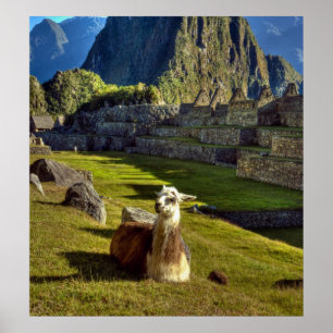Poster Pérou, Andes, Monts Andes, Machu Picchu, 2