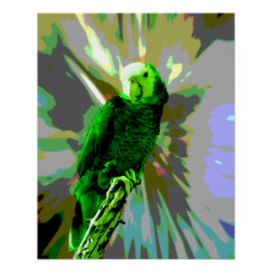 Poster Perroquet vert 6537
