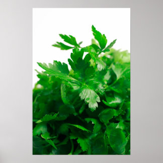 Poster Persil