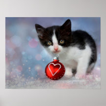 Poster personnalisable en chat Kitty noir et blanc
