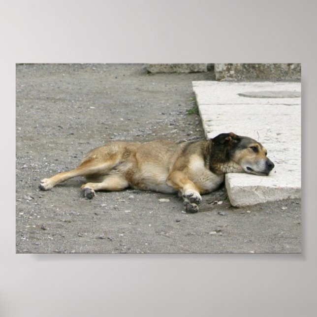 Poster personnalisé Chien fatigué (Devant)