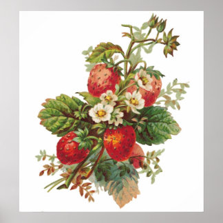 Poster personnalisé Fleurs de fraises