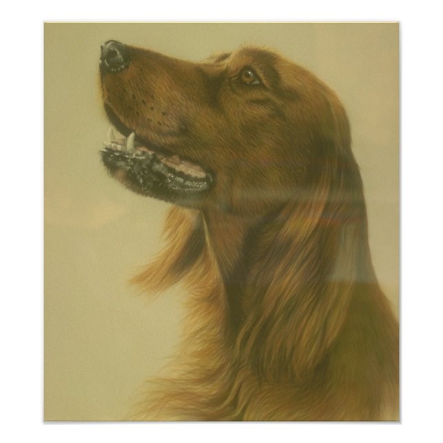 Poster personnalisé Irish Setter Art (Devant)