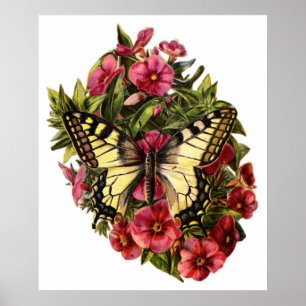Poster personnalisé Papillon et Fleurs
