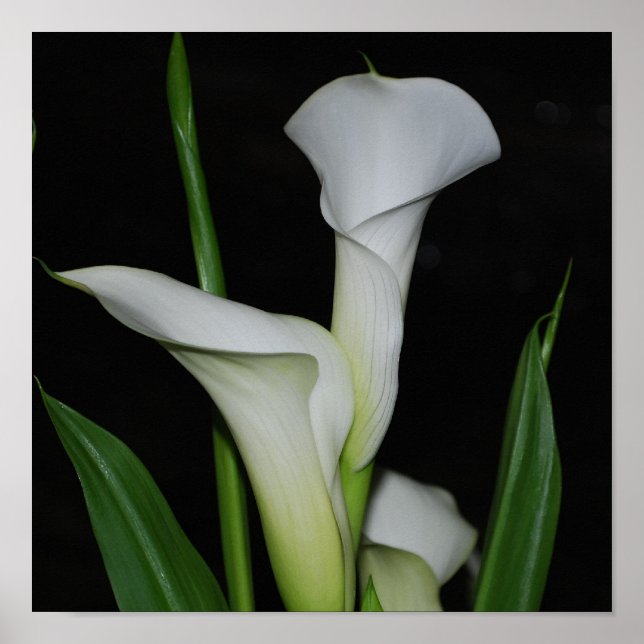 Poster Personnaliser (Devant)