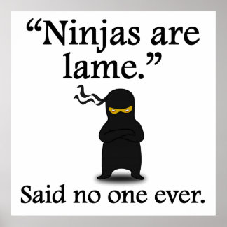 Poster Personne N'A Jamais Dit : Les Ninjas Sont La Respo