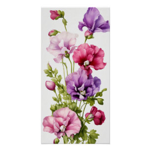Poster Pétales pastel : Stylisé Pois doux Blossom