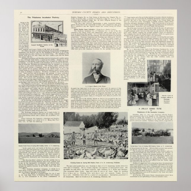 Poster Petaluma Incubator Factory, Californie (Devant)