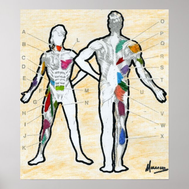 Poster Peter Max style signé carte musculaire dessin (Devant)