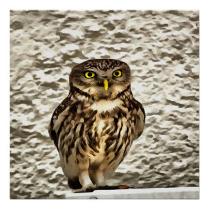 Poster Petit Chouette Brown Portrait Artistique