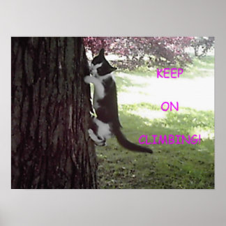 Poster Petit Kitten Big Tree
