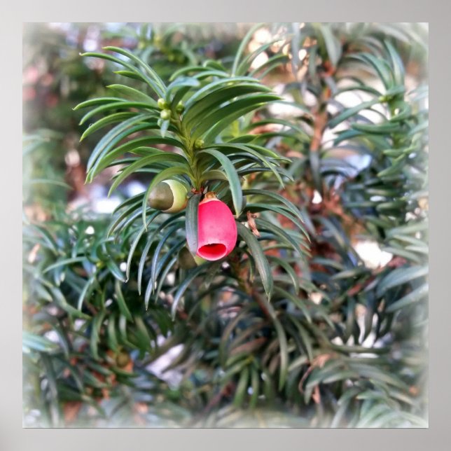Poster petite cloche rouge (Devant)