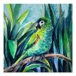 Poster Petite macaw verte
