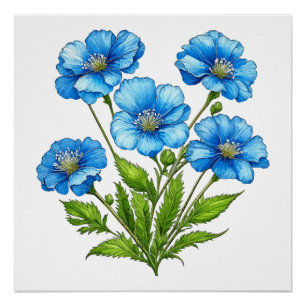 Poster Petites Fleurs Bleues