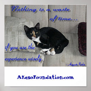 Poster Petits sommes de chat