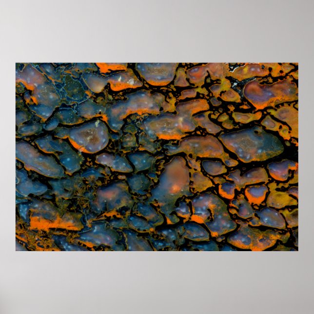 Poster Petrified dinosaure bone (Devant)
