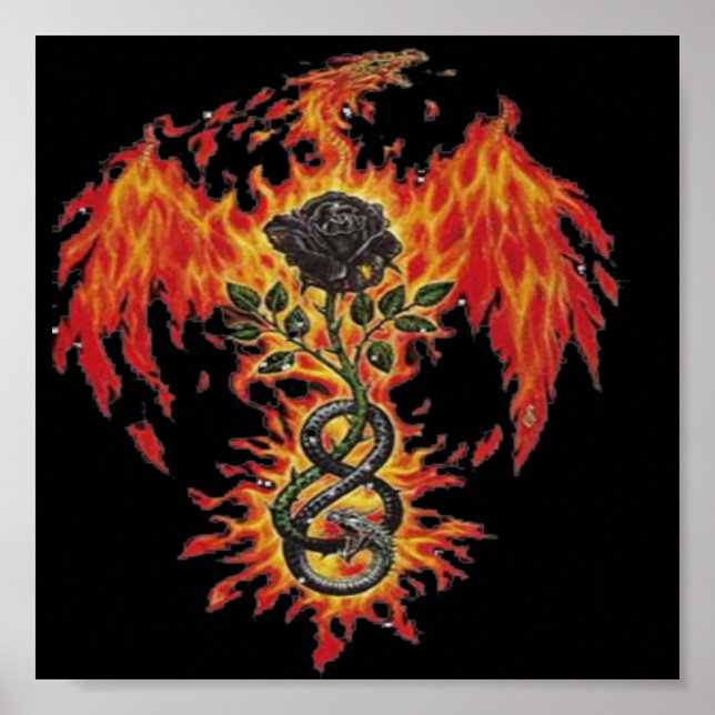 Poster Phoenix (Devant)