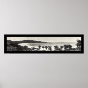 Poster Photo 1914 de Flamant rose de Porto Rico