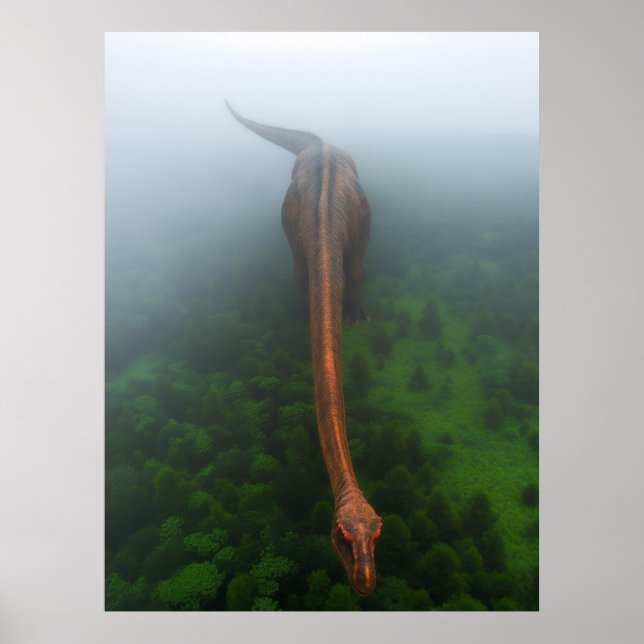Poster photo aérienne de la forêt primitive (Devant)