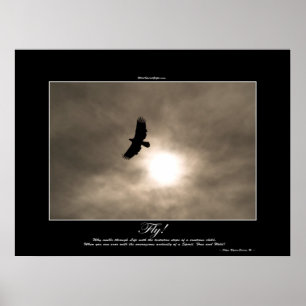 Poster photo Bald Eagle & Sun