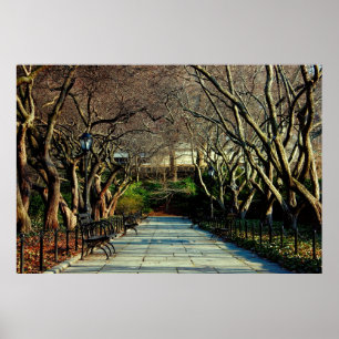 Poster Photo conservatrice de paysage de Central Park