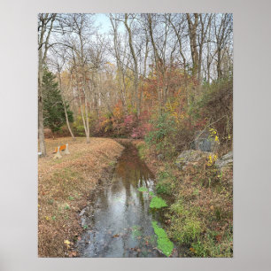 Poster photo de Autumn Creek