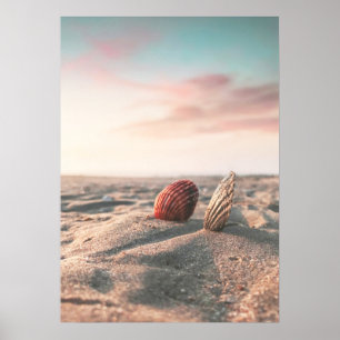 Poster photo de Beach Sunset Sea Shell Beach