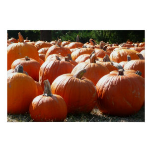 Poster Photo de citrouilles pour l'automne, Halloween ou