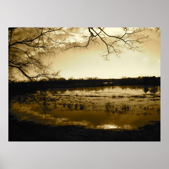 Poster Photo de marais (Devant)