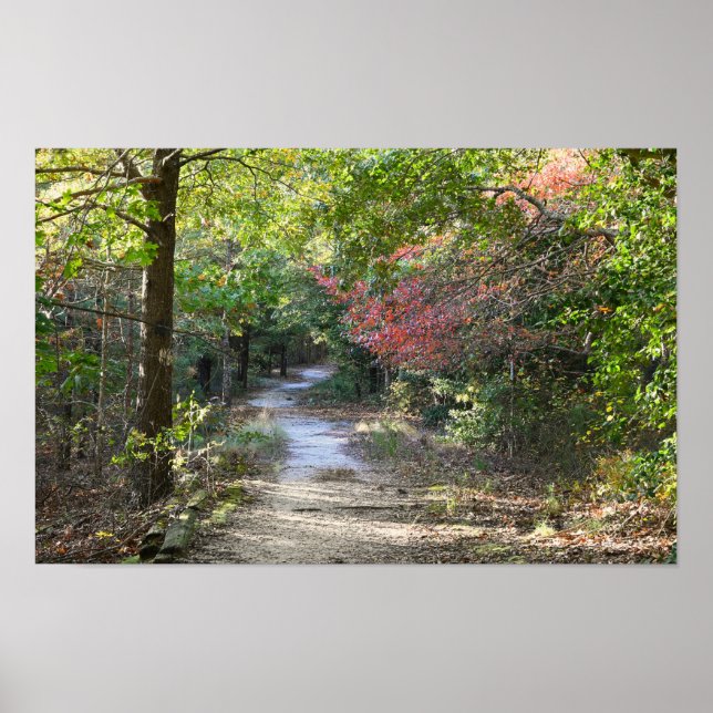 Poster photo de Park Path (Devant)