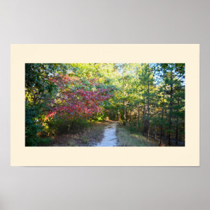 Poster photo de Park Path