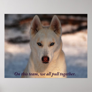 Poster photo de Teamwork