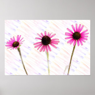 Poster photo de violet confleur